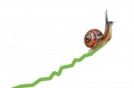 Slow Economic Growth Slow Economic Growth